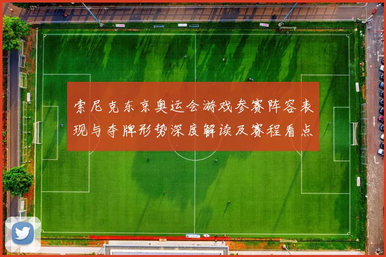 索尼克东京奥运会游戏参赛阵容表现与夺牌形势深度解读及赛程看点