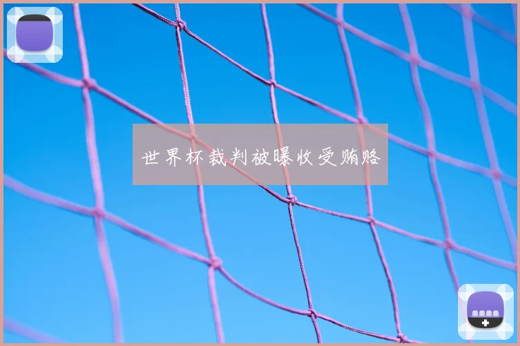 世界杯裁判被曝收受贿赂