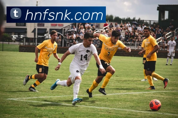 乐竞在线登陆平台生态图